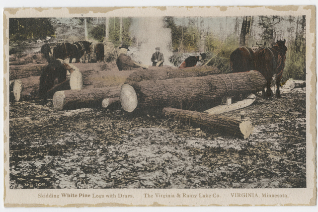 Felled logs sit stacked on each other on a sled, with two horses harnessed to them at right.